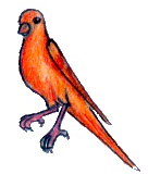 cadult8.gif (7401 bytes)