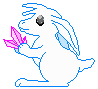 ck1.gif (1570 bytes)