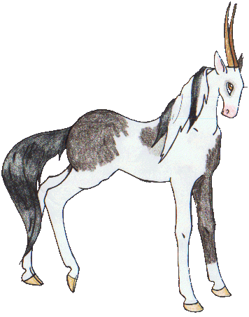 ganem_chenadult.gif (43635 bytes)