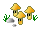 mush8.gif (835 bytes)