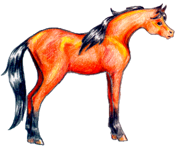 horse15.gif (38151 bytes)