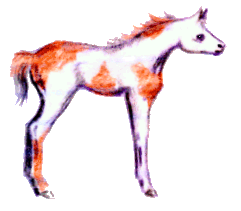 horse19.gif (13101 bytes)