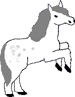 whitegreyt.gif (3681 bytes)