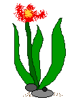 flower.gif (2329 bytes)