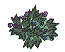 bush0011.gif (2047 bytes)