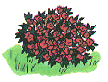 bush0014.gif (4530 bytes)