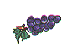 frut0029.gif (1592 bytes)
