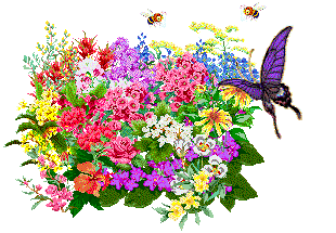 bunch2.gif (26514 bytes)