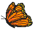 butterf4.gif (1775 bytes)