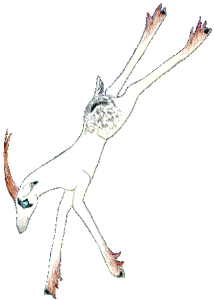 shelu018buck.gif (11636 bytes)