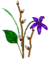 violet1.gif (2059 bytes)