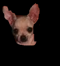 /user/tyke03.gif