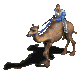Camel Rider