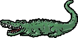 Croc