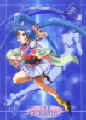 sasami3.jpg (112398 bytes)