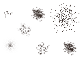 custom brush shapes