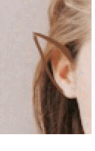 ear