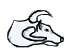 Maalchaack