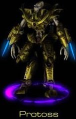 The Protoss