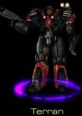 The Terrans