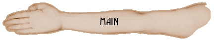  Main 