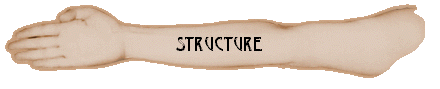  Structure 