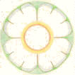 Eucharist