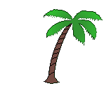 /user/a_palm.gif