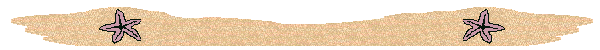 /user/linebeach.gif