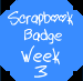 /user/nbadge2.gif