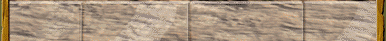 /user/s8glass.gif