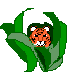 /user/tigerhide.gif