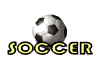 /user/soccerWHT.gif