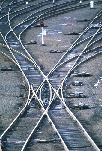 Tracks.jpg (74414 bytes)