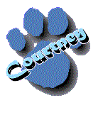 Courtney (5784 bytes)