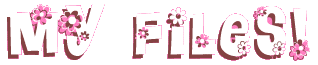 MY FILES