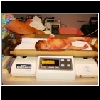 Alexander being weighed