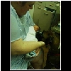 Alexander, Puppy and Selina
