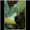 Alexander, Puppy and Selina
