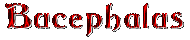 Bucephalus