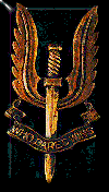 SAS Logo Pin