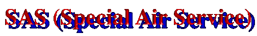 SAS (Special Air Service)