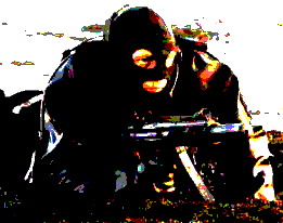 SC Beach.gif