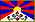 Tibet Flag, Link to 3D animated gif of Tibet
flag