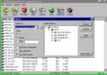 WinZip, Descomprimiendo.