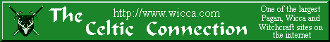 The Celtic Connection
