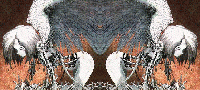 Furturistic Angels