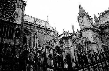 Notre Dame