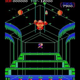 Donkey Kong 3, 1st stage
