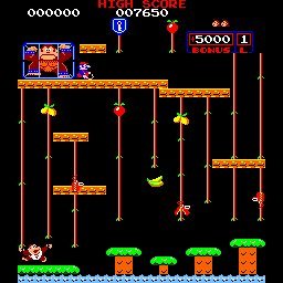 Donkey Kong Jr.1st stage